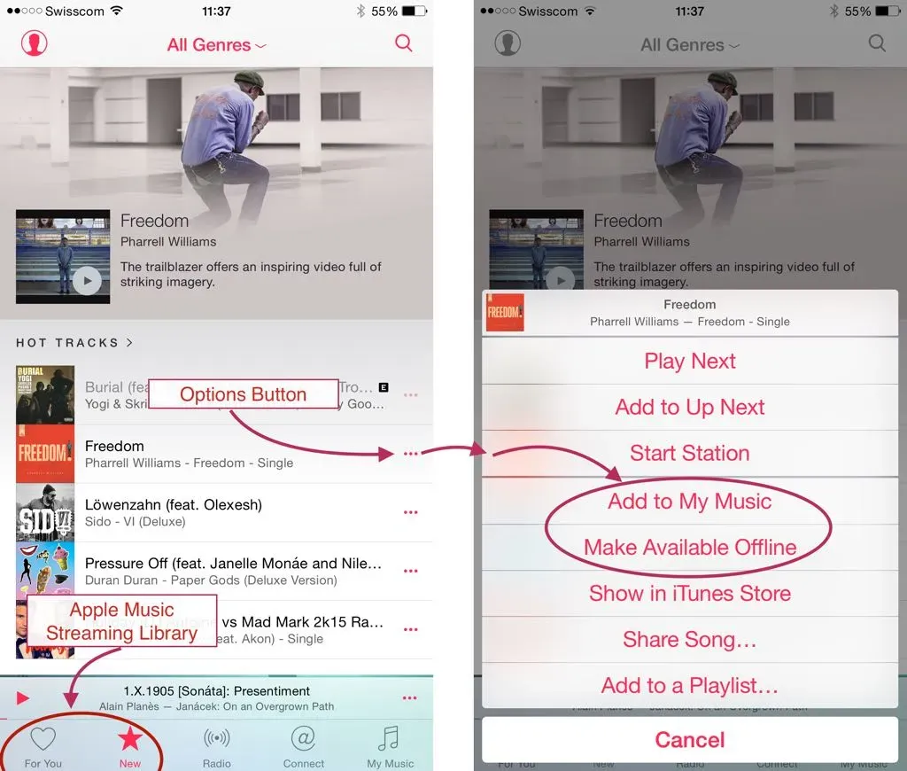 Tapping on … reveals an action sheet we can use to add albums and songs to My Music