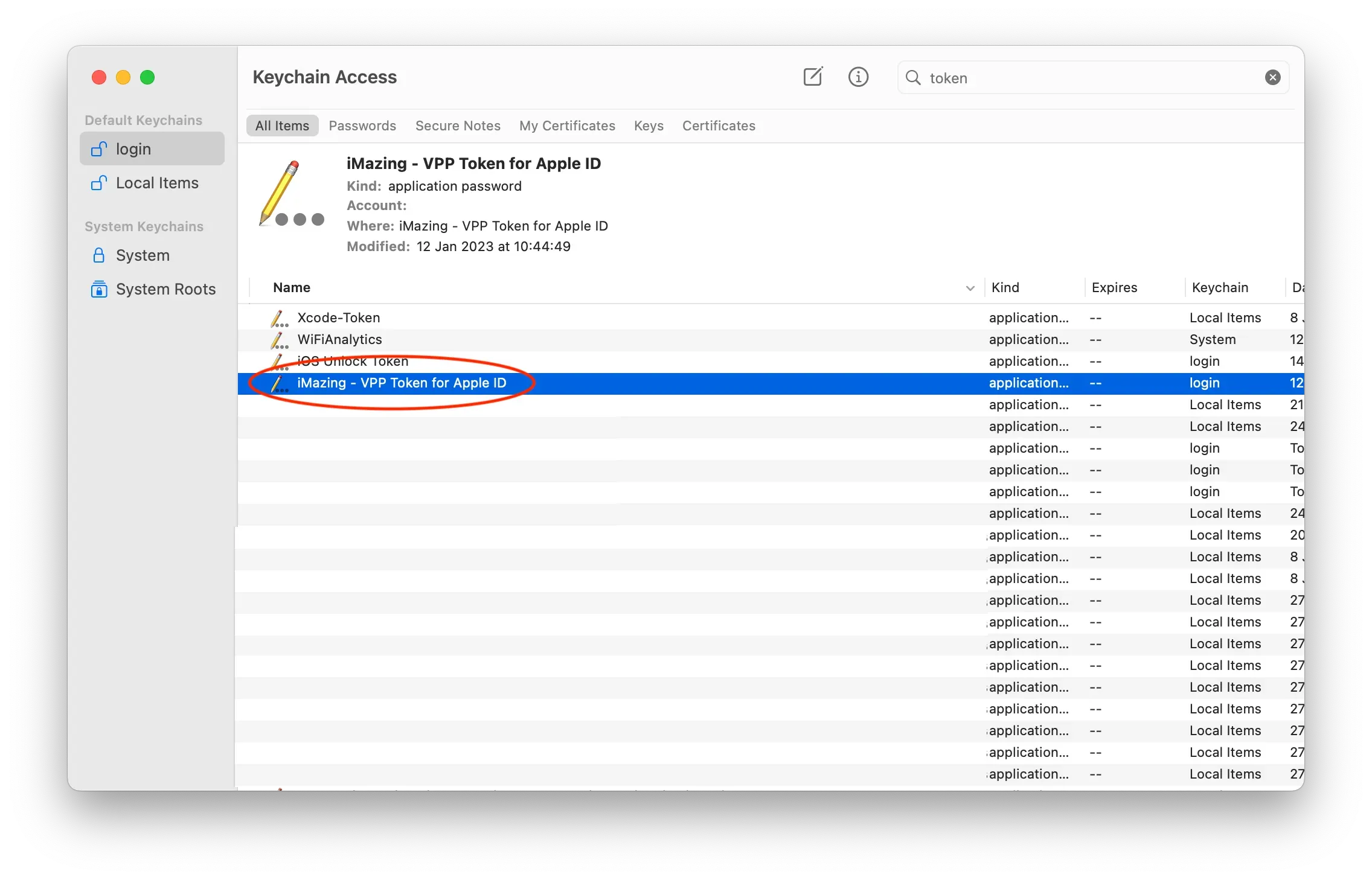 Find VPP Token in Keychain