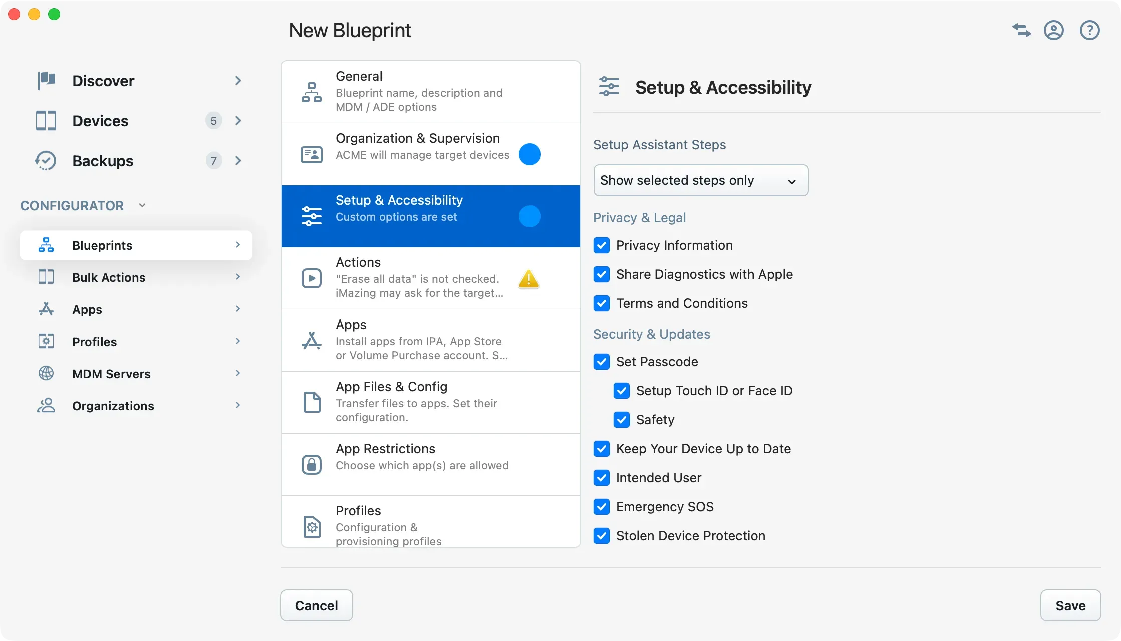 iMazing Configurator, Blueprint Editor Setup & Accessibility Section, Setup Assistant Steps