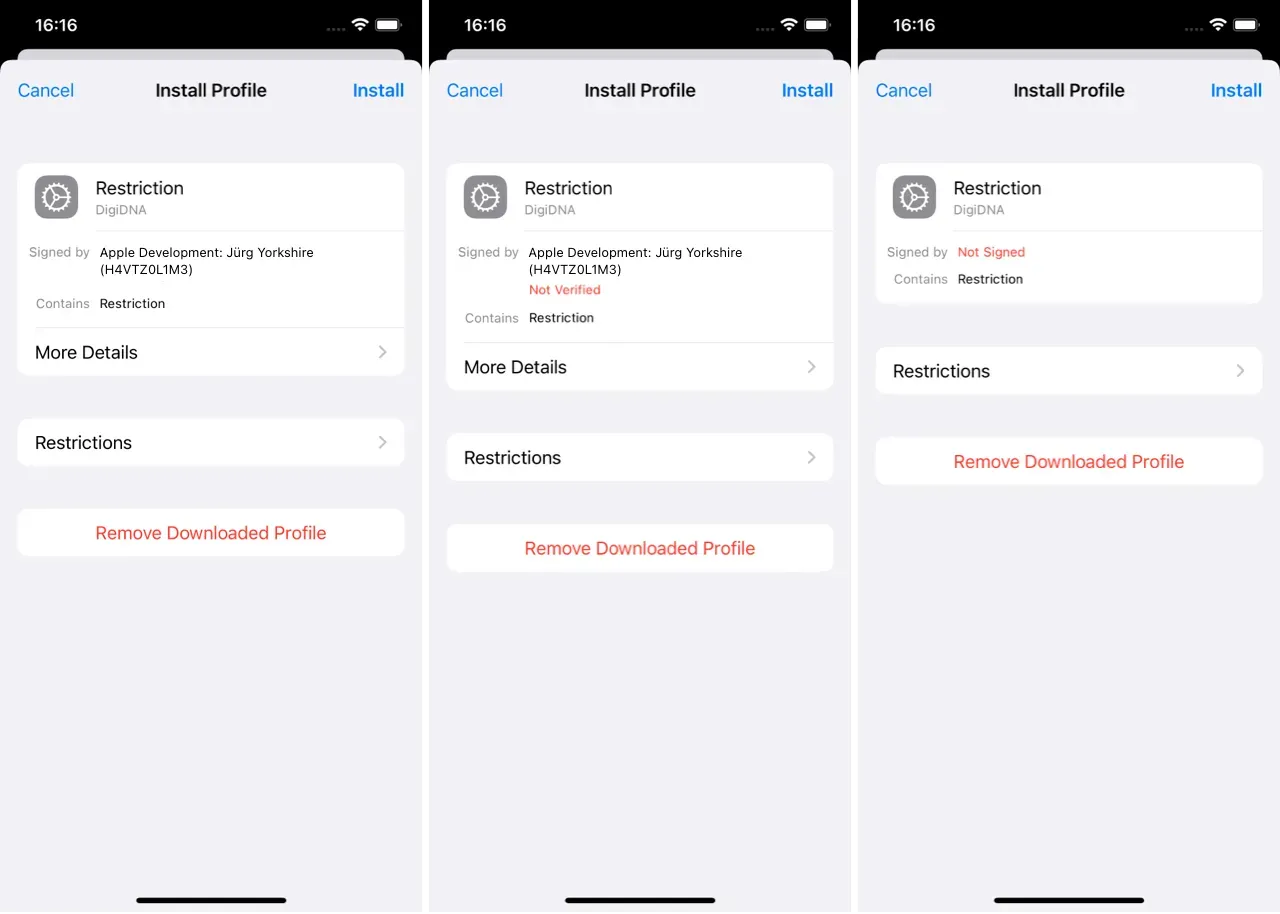 iMazing Profile Editor, Web Content Filter Add Payload