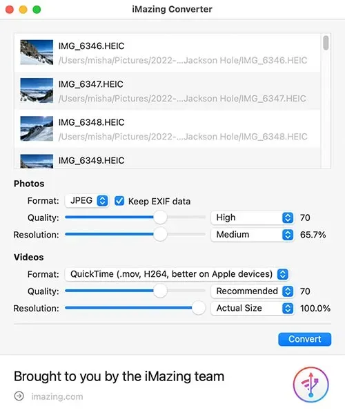 iMazing Converter Window, with files