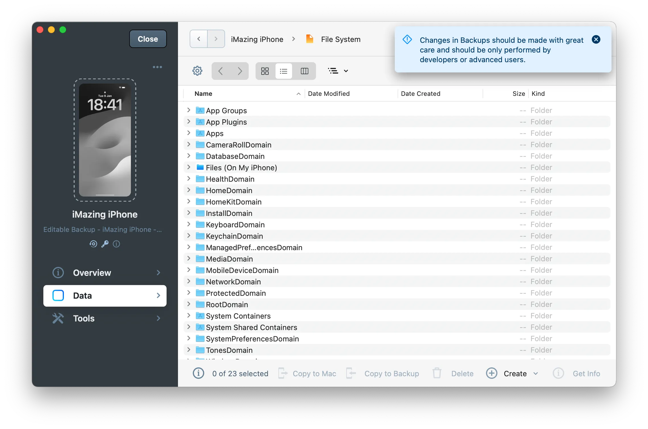iMazing's File System section in and editable backup