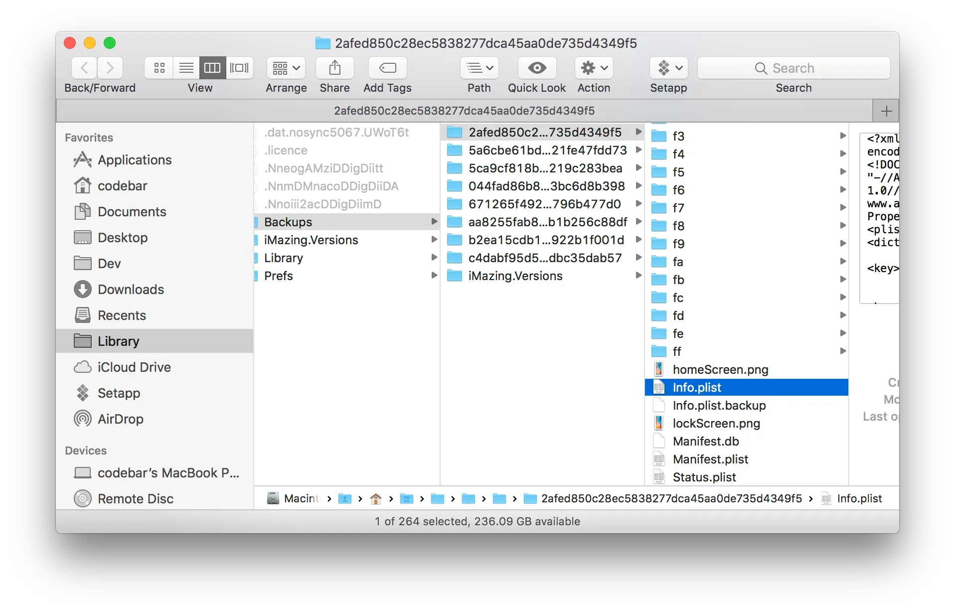 iOS backup Info.plist file