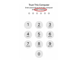 Cover image for iOS Backup Passcode Prompt