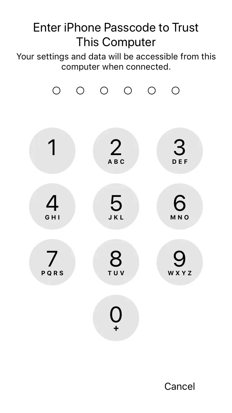 iOS 11 Trust Prompt Requires Passcode Screenshot
