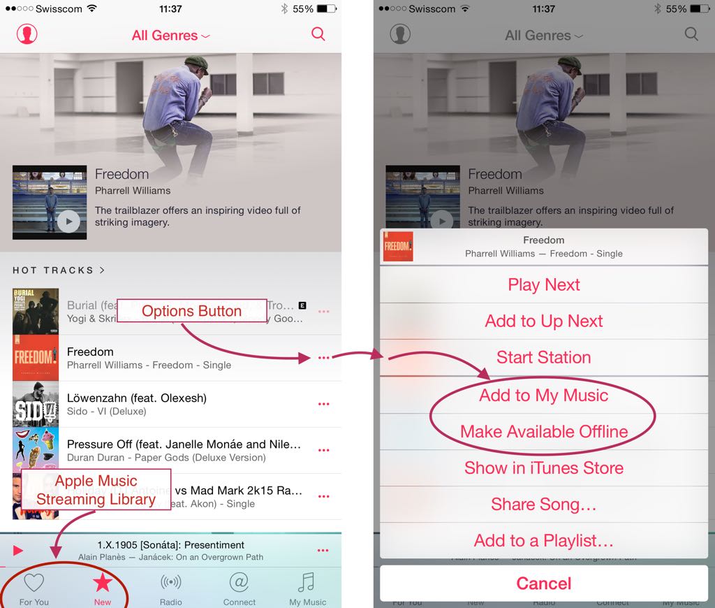 Tapping on ... reveals an action sheet we can use to add albums and songs to My Music