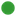 green status icon