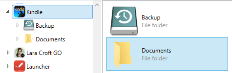 Documents icon when file sharing is enabled