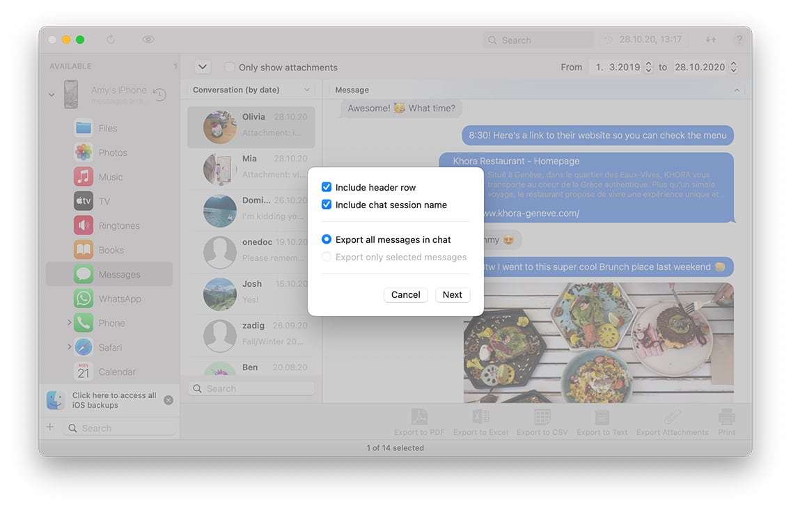 Transfer iPhone messages (SMS), MMS, and iMessages to your computer