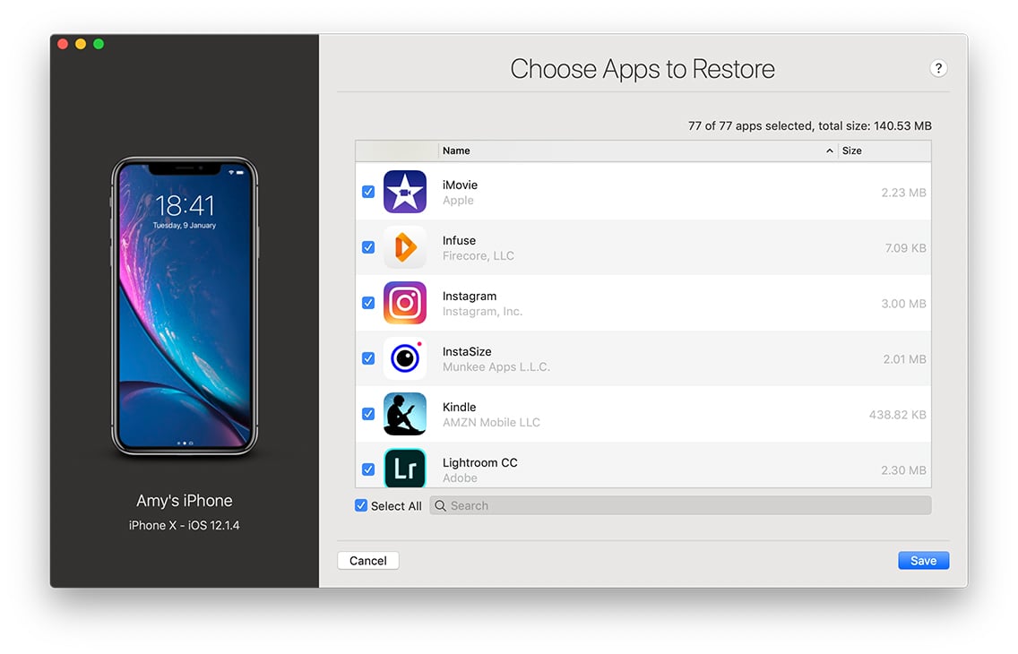 wizard restore options screenshot, choose data to restore