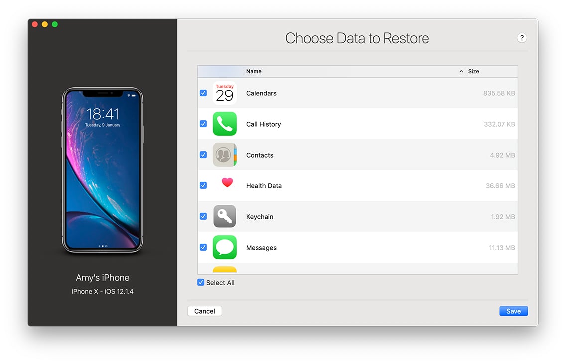 wizard restore options screenshot, choose data to restore