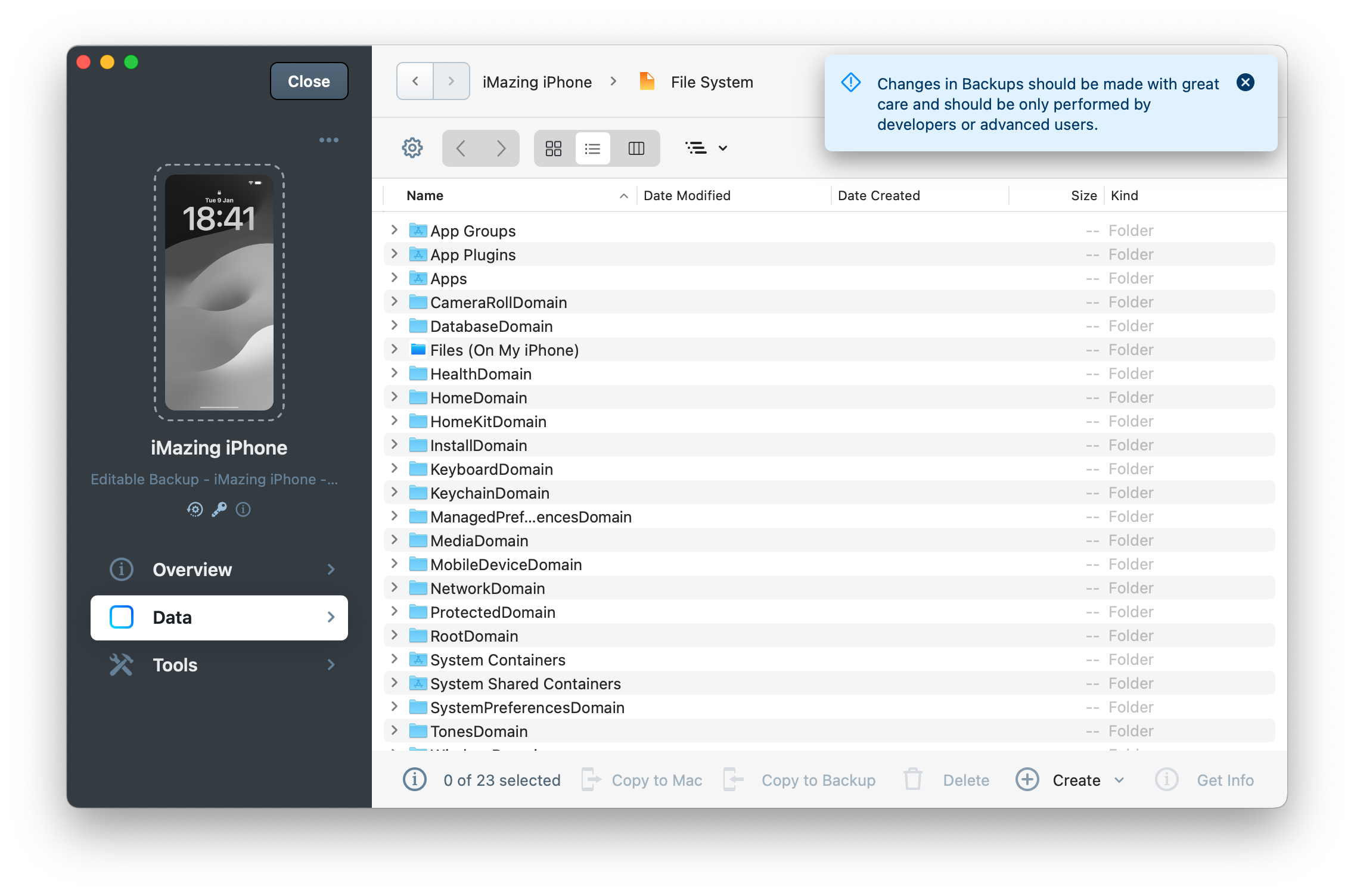 iMazing's File System section in and editable backup